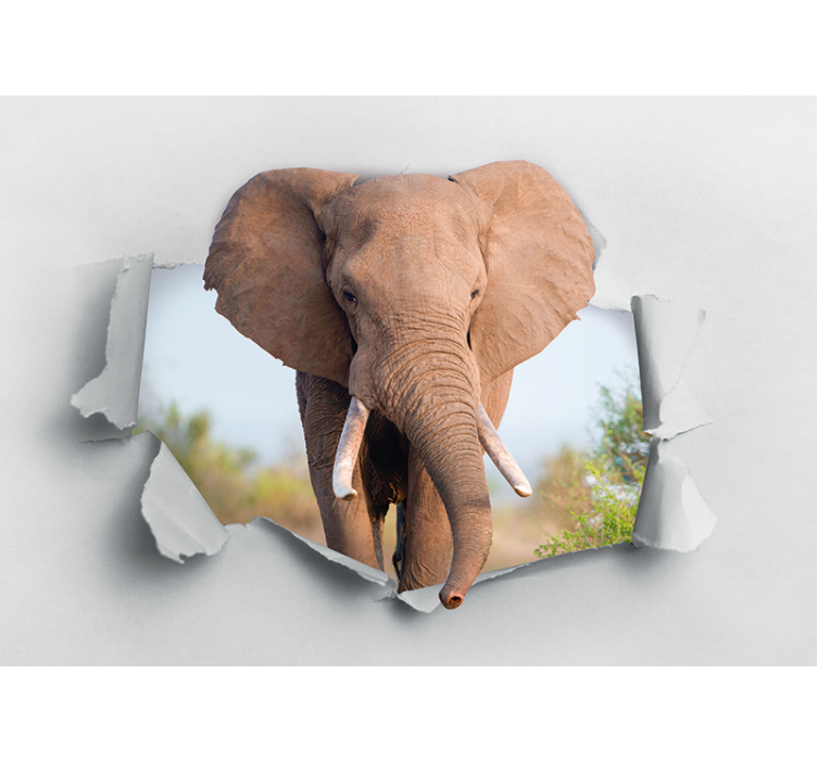 Fotomural 3D Elefante rompiendo la pared - TenVinilo