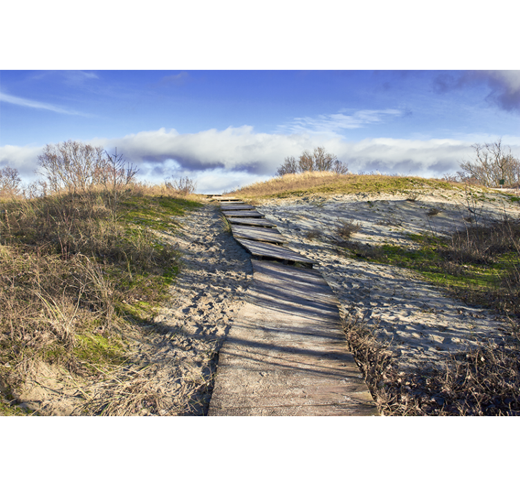 Papel mural paisajes sendero de madera - TenVinilo