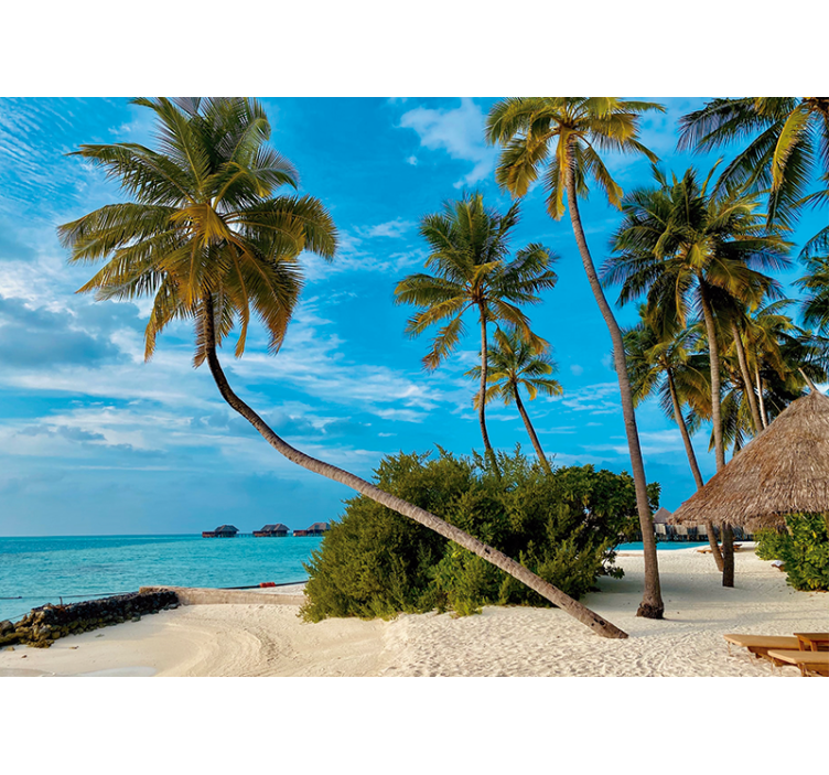 Mural para salón Cocotero en la playa - TenVinilo