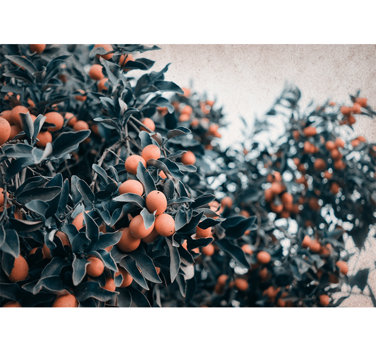 Papel mural flores rama de frutas cítricas - TenVinilo