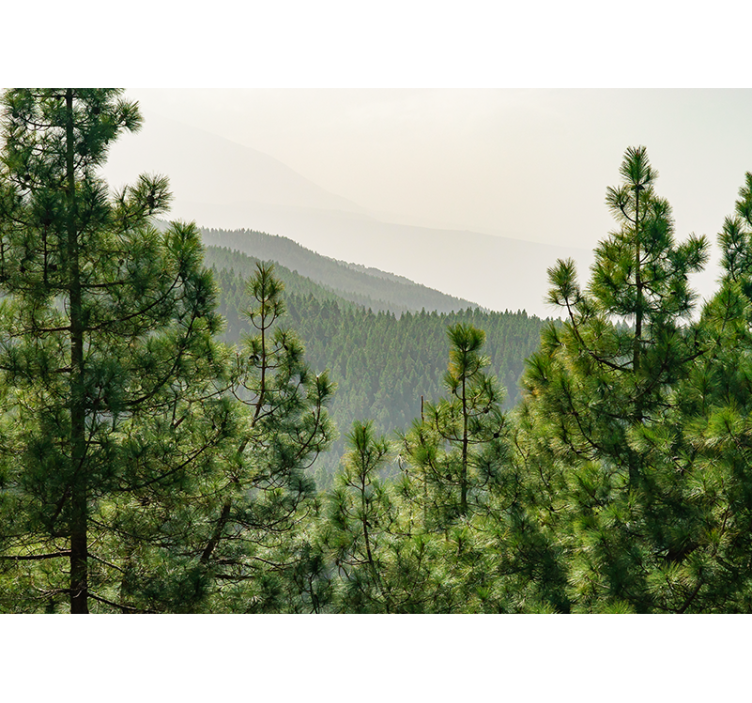 Papel mural naturaleza paisaje de vegetación exuberante - TenVinilo