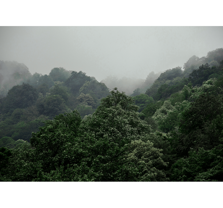 Papel mural bosque paisaje brumoso - TenVinilo