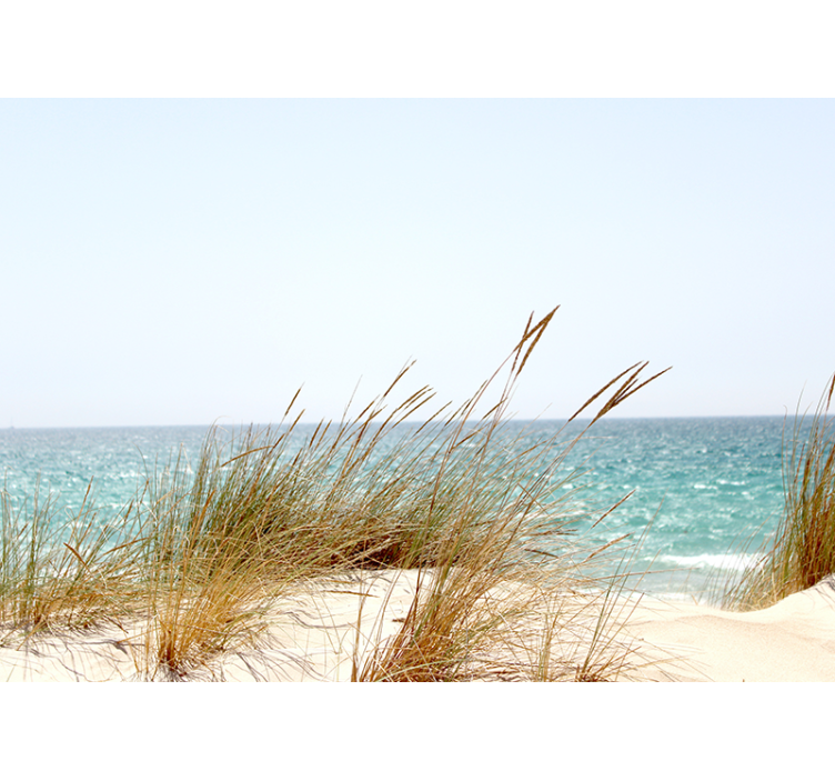 Papel mural naturaleza vista de costa tranquila - TenVinilo