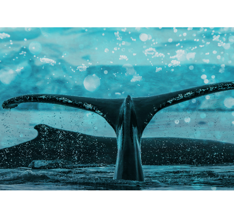 Mural de animales salpicadura de cola de ballena - TenVinilo