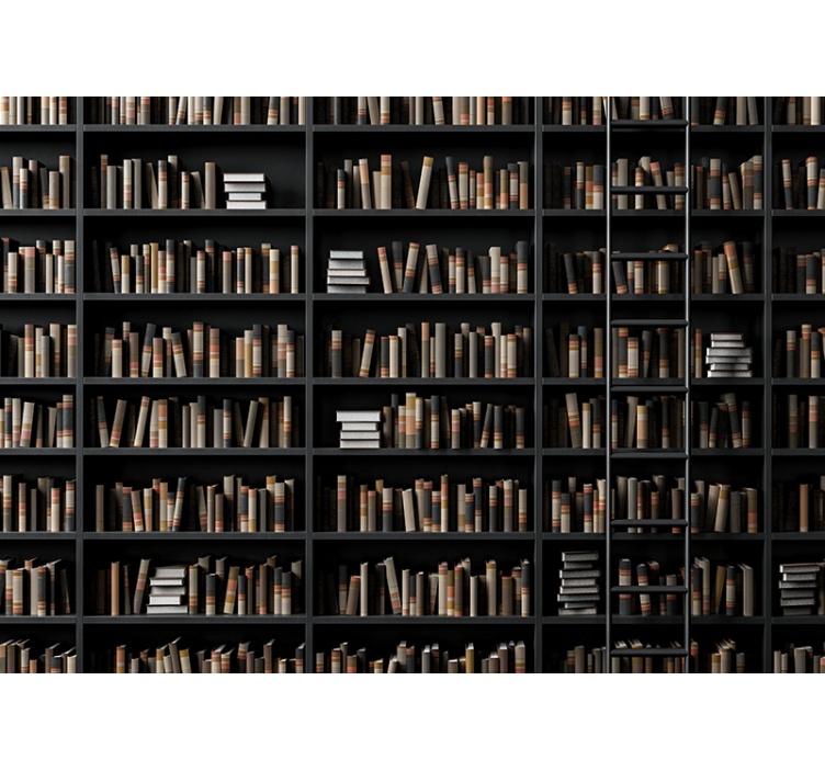 Papel mural piedra asortimento de libros biblioteca - TenVinilo