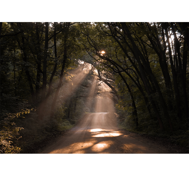Papel mural naturaleza sendero del bosque radiante - TenVinilo
