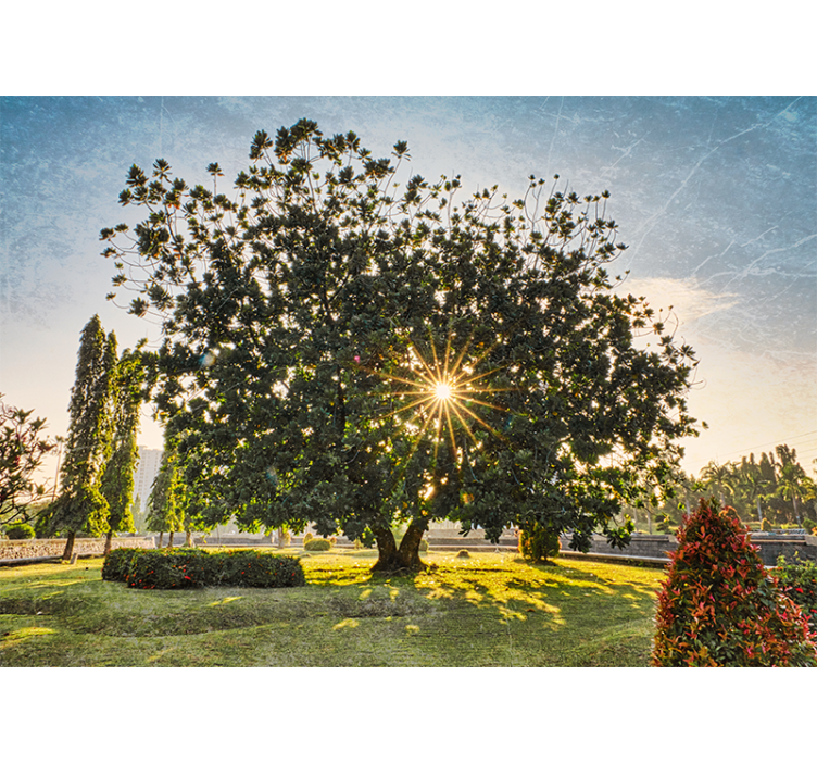 Papel mural naturaleza vista del árbol soleado - TenVinilo