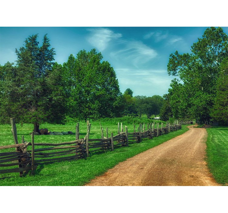 Papel mural paisajes sendero verde vibrante - TenVinilo