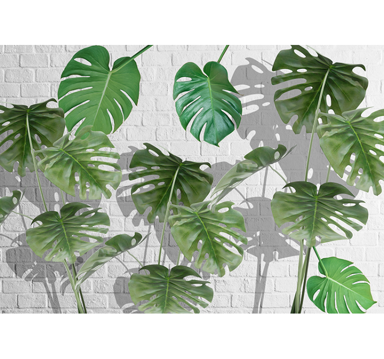 Papel mural naturaleza arreglo de hojas monstera - TenVinilo