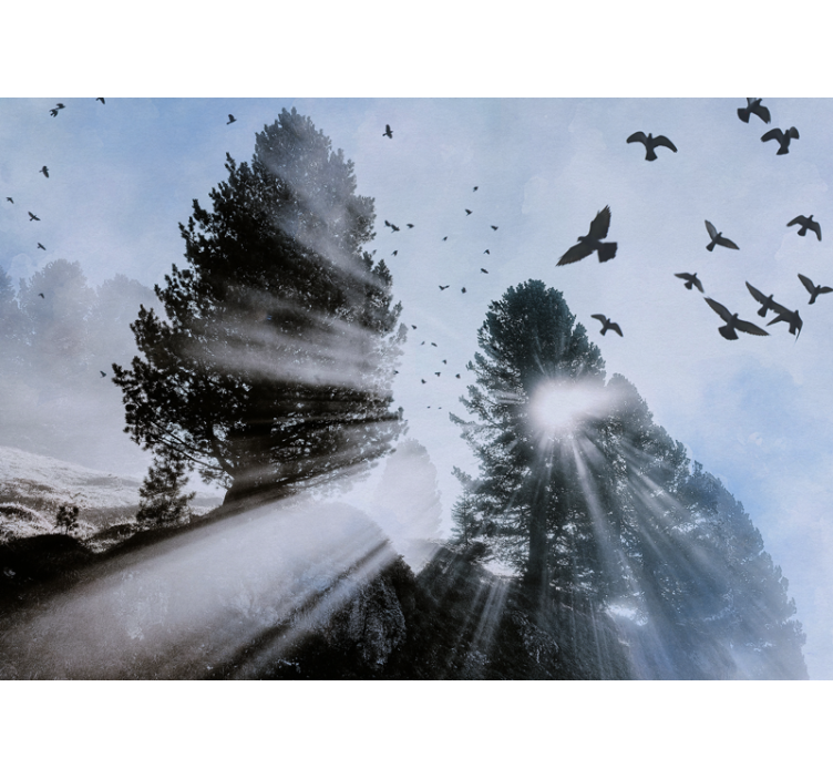 Papel mural bosque rayos de sol radiantes con pájaros - TenVinilo