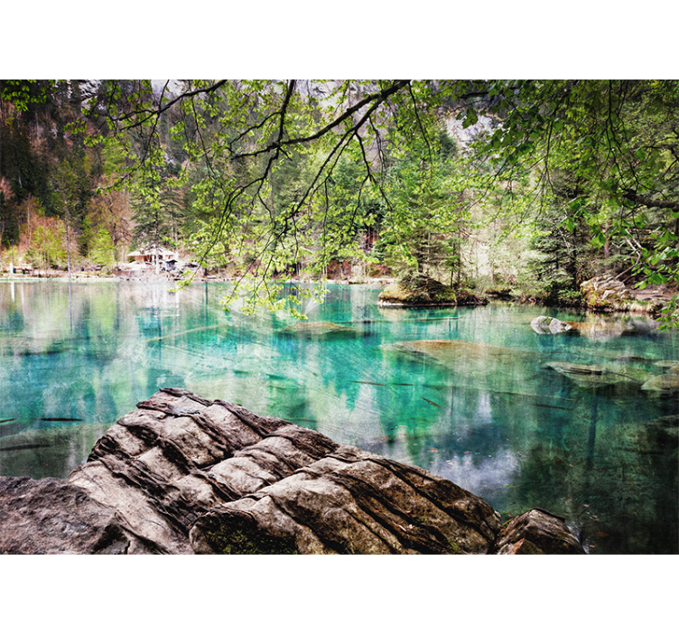 Fotomural lago Lago y árboles durante el día - TenVinilo