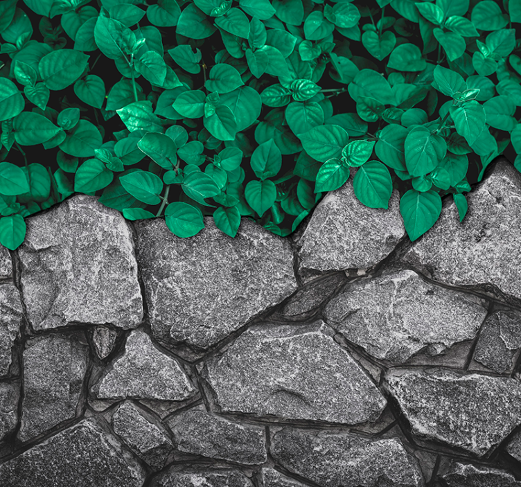 Fotomural salón hojas y piedras - TenVinilo