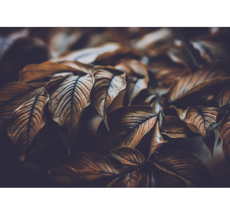 Fotomural naturaleza hojas secas de otoño - TenVinilo