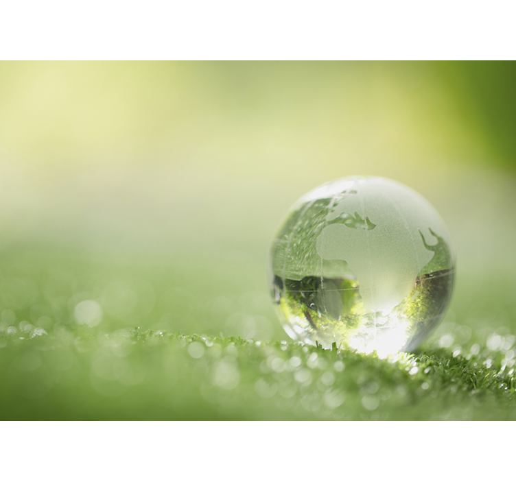 Papel mural naturaleza globo sobre hierba - TenVinilo