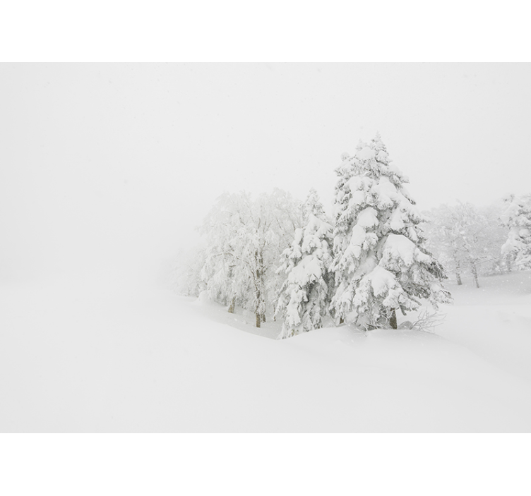 Fotomural pared bosque tormenta invierno - TenVinilo