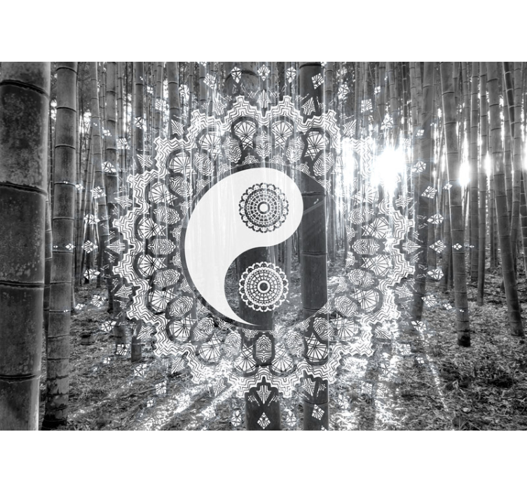 Fotomural zen ying yang paisley - TenVinilo