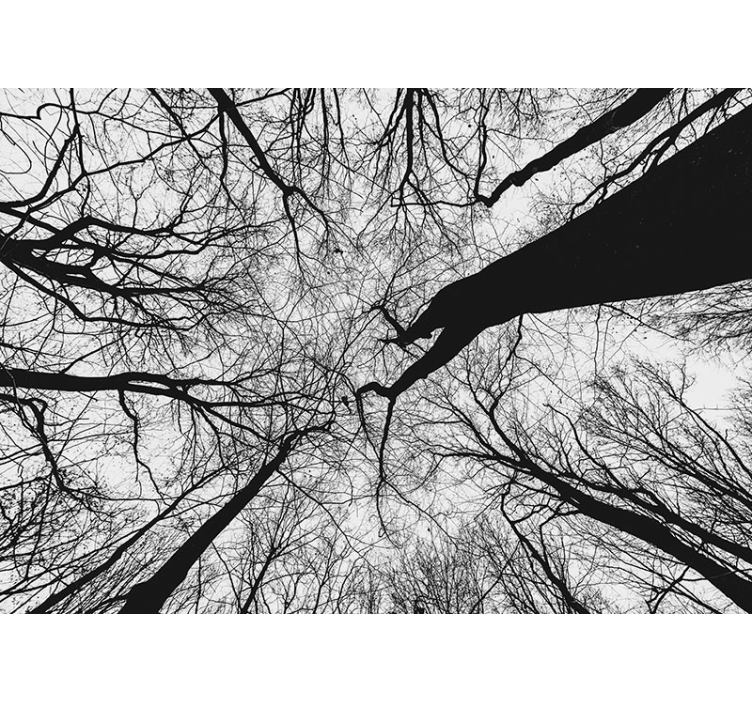Mural de árboles siluetas de ramas entrelazadas - TenVinilo