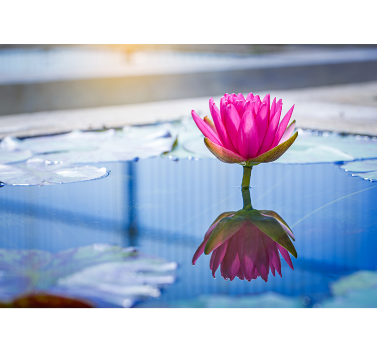 Mural zen flor de loto tranquilidad - TenVinilo