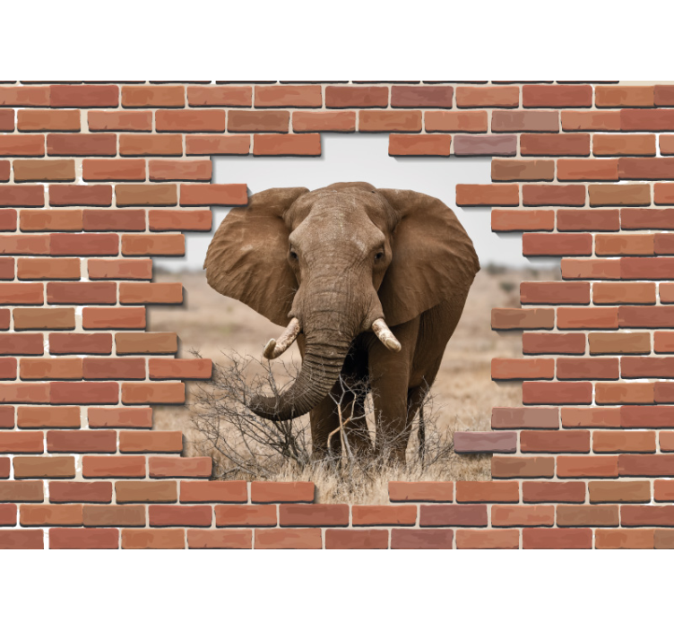 Fotomural 3D 3d pared rota con elefante - TenVinilo