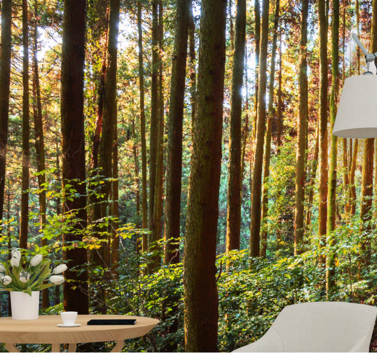 Fotomural de bosque Troncos de árboles altos - TenVinilo