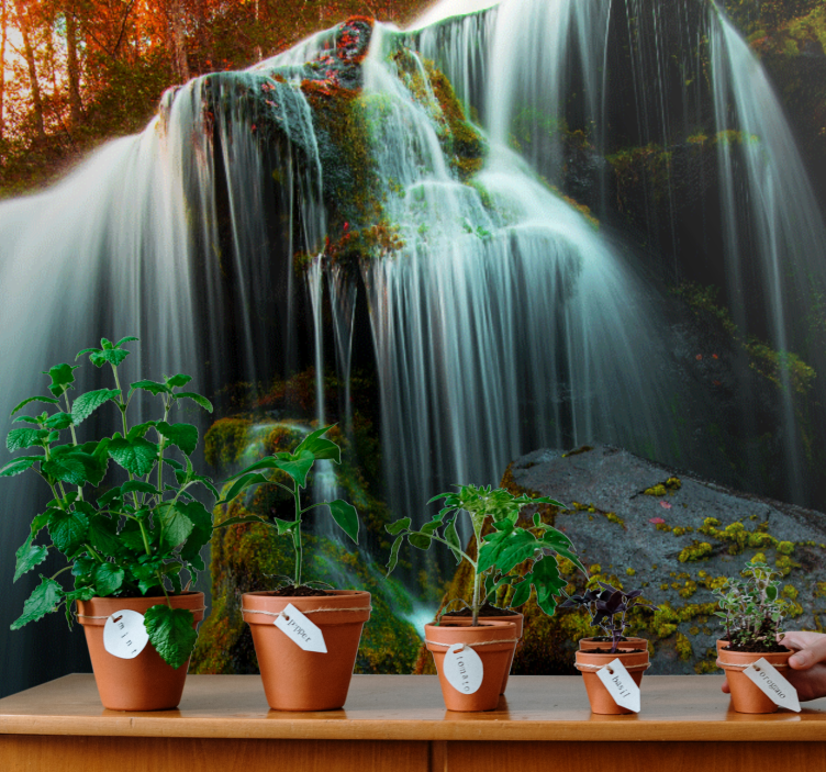 Fotomural cascada agua suave que cae - TenVinilo