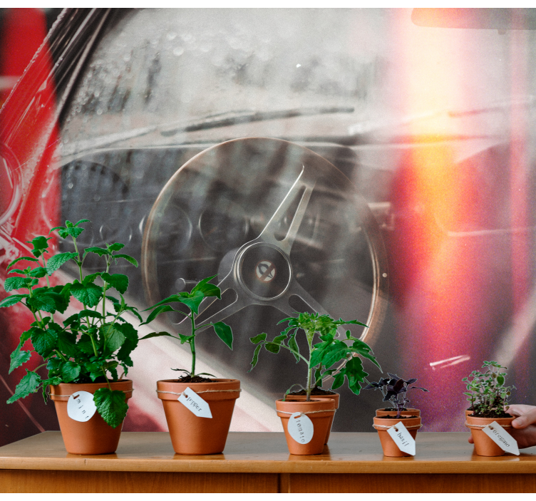 Fotomural de coche Volante vintage - TenVinilo