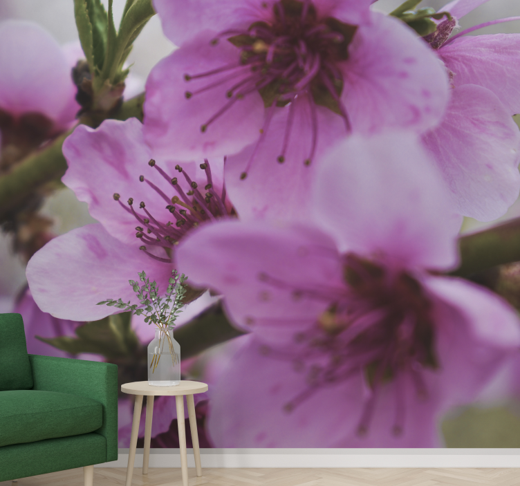 Fotomural flores Hermosas flores rosadas - TenVinilo