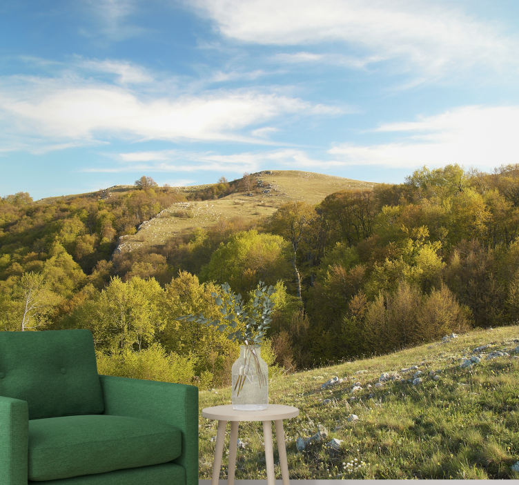 Fotomural naturaleza Paisaje de campo - TenVinilo