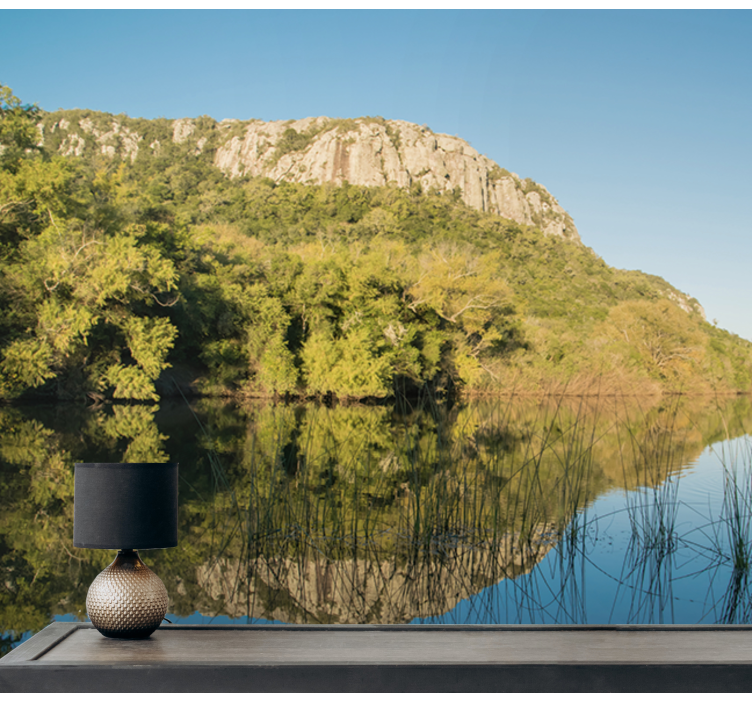 Fotomural ciudad Lavalleja - TenVinilo