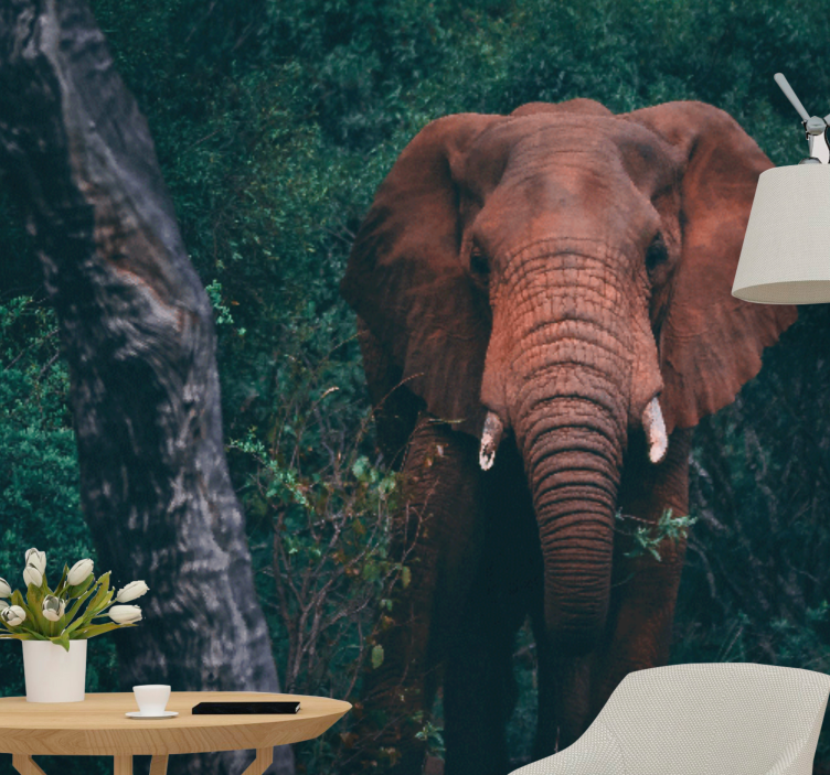 Mural de animales elefante majestuoso - TenVinilo
