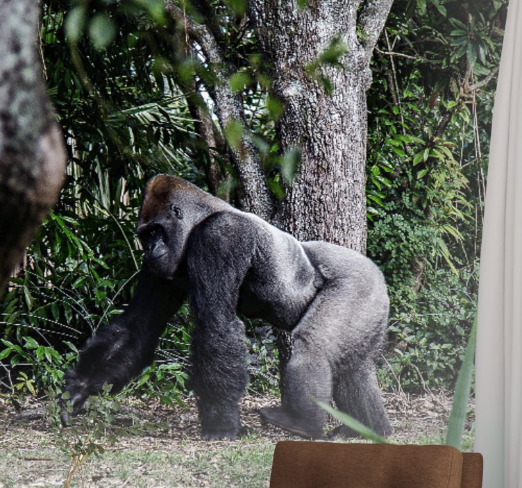 Mural de animales gorila majestuoso paseando - TenVinilo