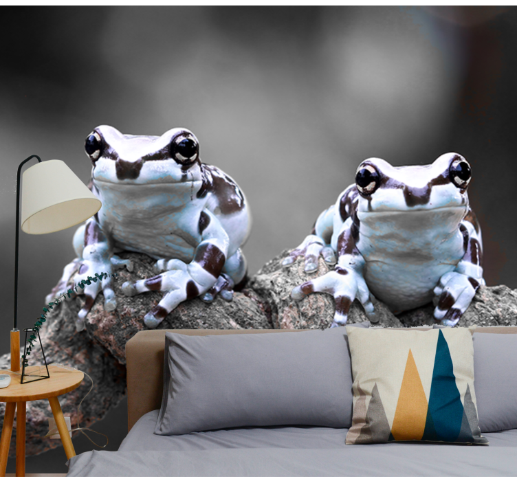 Mural de animales pareja de ranas arbóreas - TenVinilo