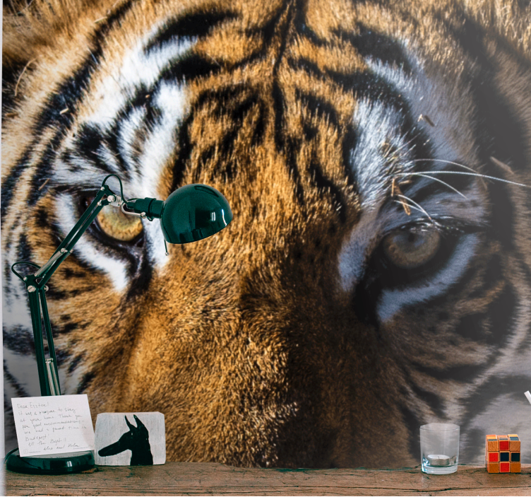 Mural de animales tigre magnífico en primer plano - TenVinilo