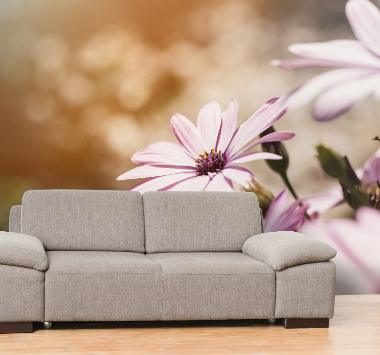 Fotomural pared de margaritas color rosa - TenVinilo