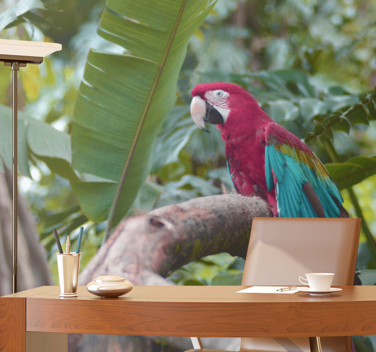 Papel mural animales loro guacamayo colorido - TenVinilo