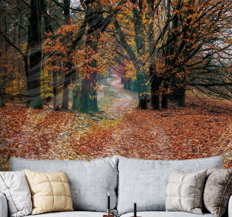 Papel mural bosque camino de otoño - TenVinilo