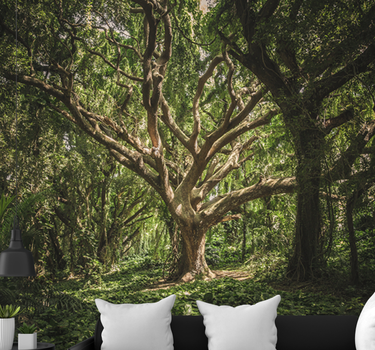Papel mural bosque dosel del bosque majestuoso - TenVinilo