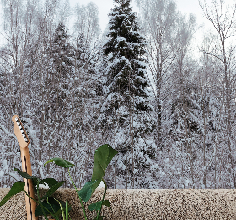Papel mural bosque escena de bosque invernal - TenVinilo