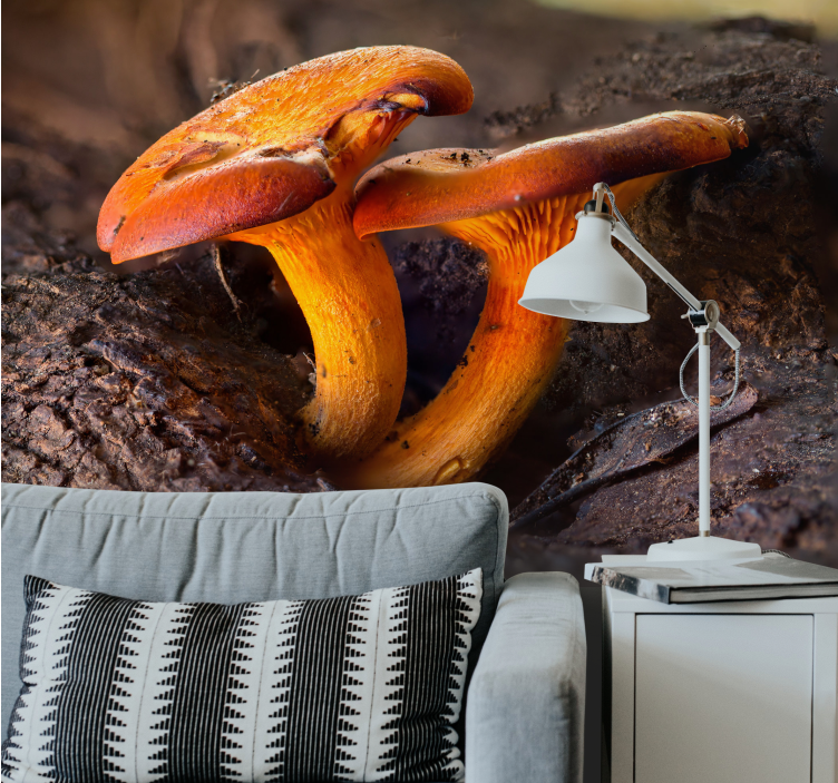 Papel mural bosque escena natural de setas - TenVinilo