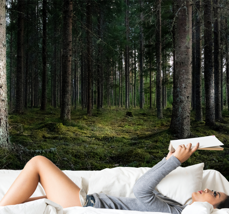 Papel mural bosque paisaje sereno - TenVinilo