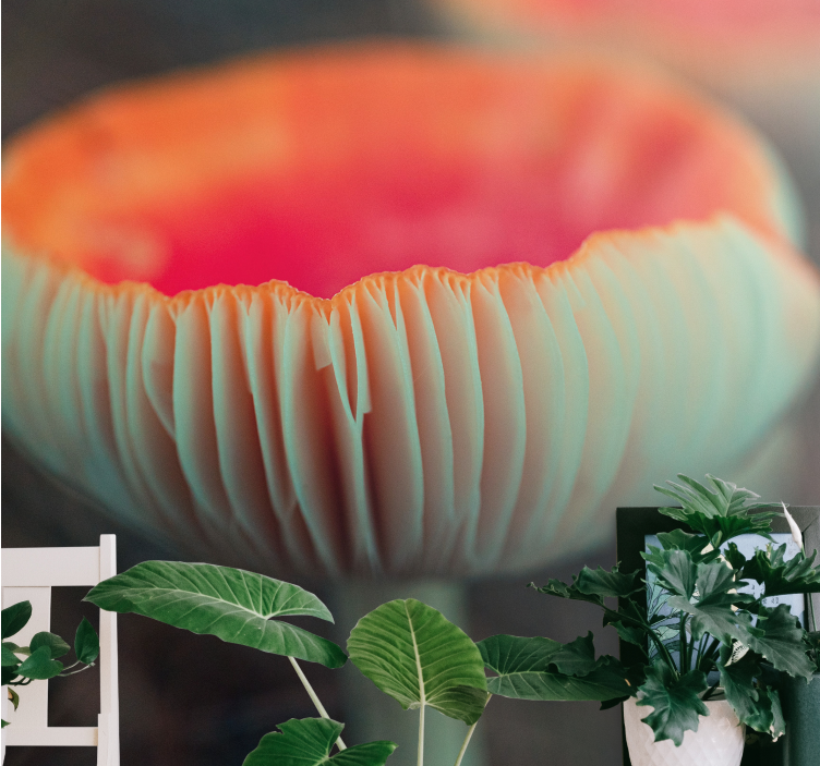 Papel mural de amapolas flor de amapola elegante - TenVinilo