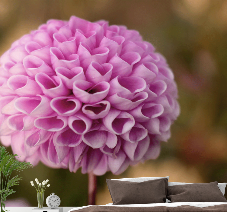 Papel mural flores esfera floral rosa - TenVinilo