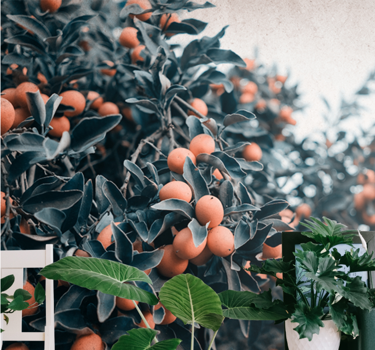 Papel mural flores rama de frutas cítricas - TenVinilo