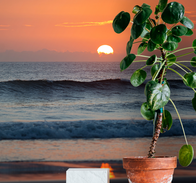 Papel mural mar horizonte del océano al atardecer - TenVinilo