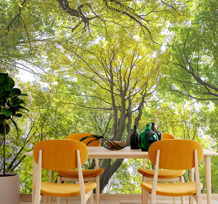 Papel mural naturaleza dosel del bosque frondoso - TenVinilo