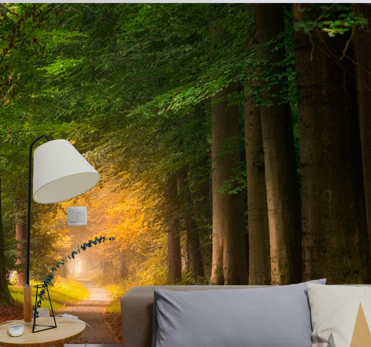 Papel mural naturaleza escena del sendero en el bosque - TenVinilo