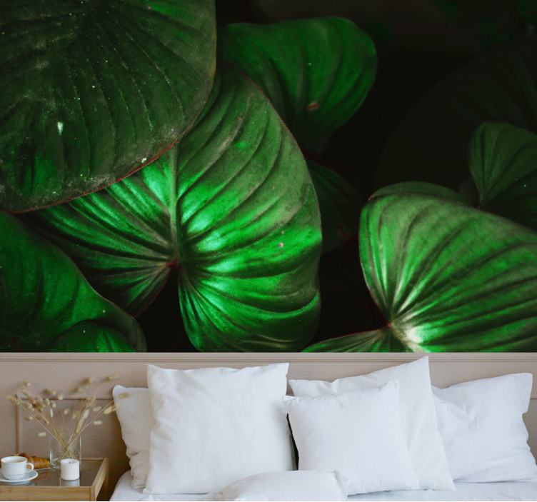 Papel mural naturaleza hojas verdes vivas - TenVinilo