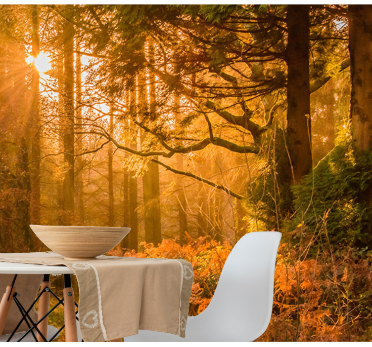 Papel mural naturaleza paisaje boscoso iluminado - TenVinilo