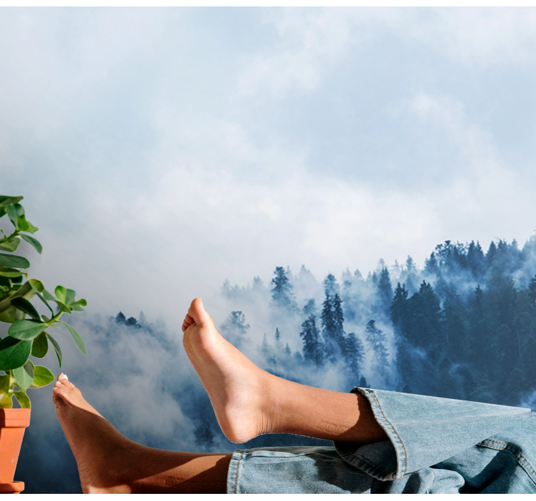 Papel mural naturaleza paisaje boscoso nublado - TenVinilo