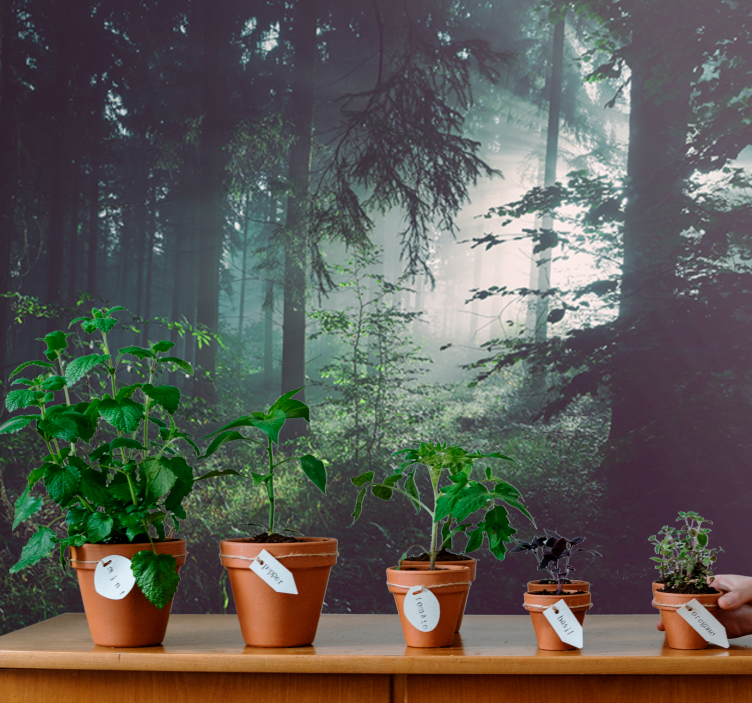 Papel mural naturaleza paisaje boscoso verdeante - TenVinilo